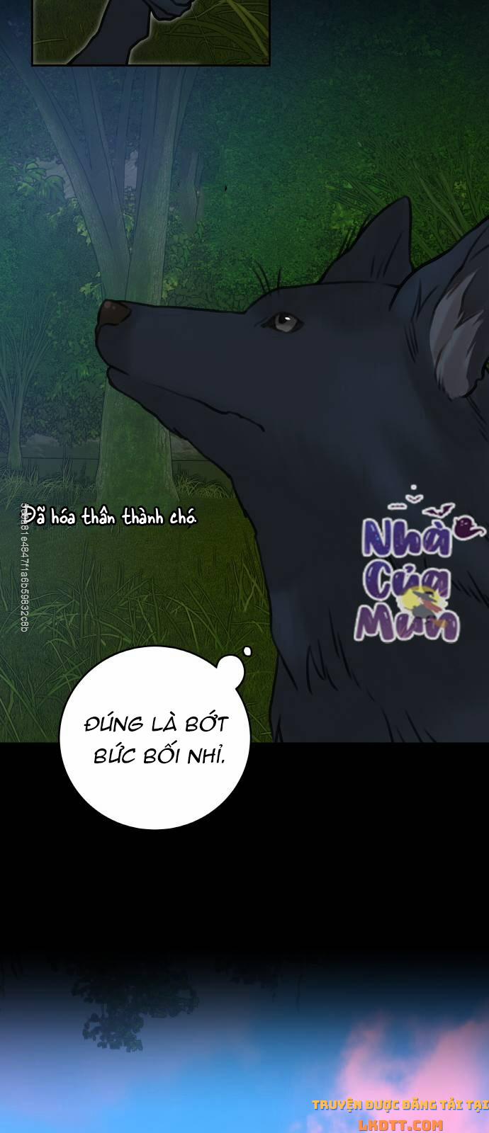 Nhật Ký Tuần Trăng Mật Của Phù Thủy Và Rồng 12 trang 46