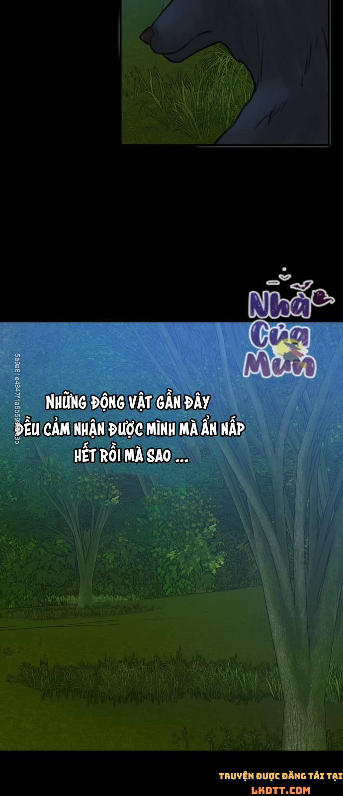 Nhật Ký Tuần Trăng Mật Của Phù Thủy Và Rồng 12 trang 48