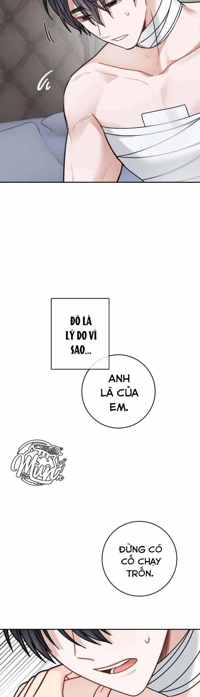 Nhật Ký Tuần Trăng Mật Của Phù Thủy Và Rồng 120 trang 24