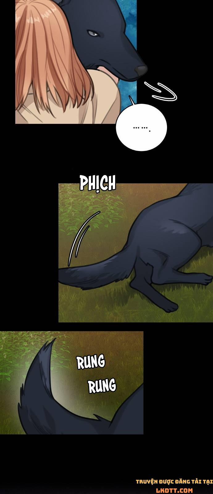 Nhật Ký Tuần Trăng Mật Của Phù Thủy Và Rồng 13 trang 15