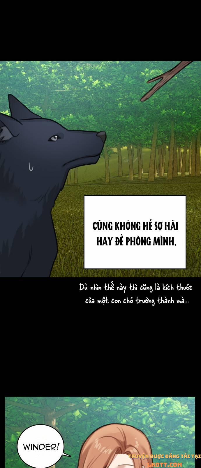 Nhật Ký Tuần Trăng Mật Của Phù Thủy Và Rồng 13 trang 20