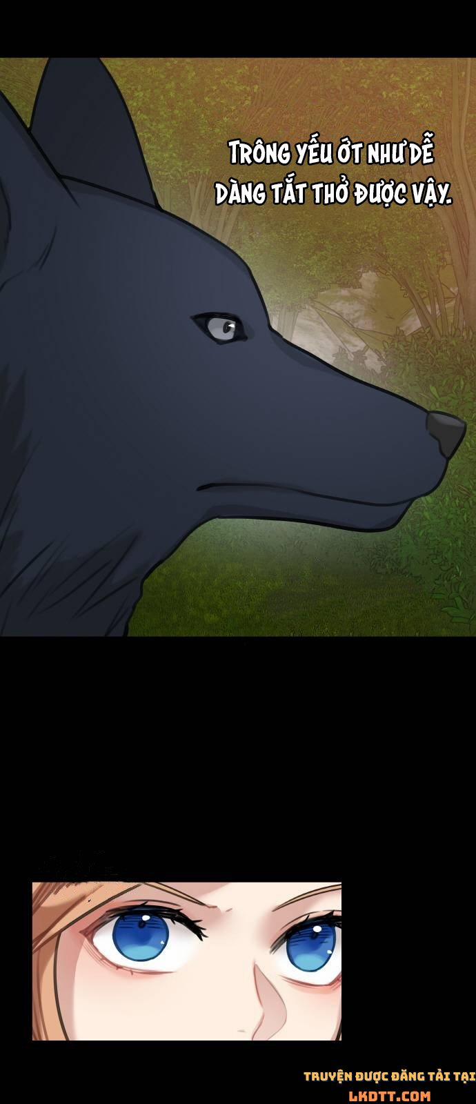 Nhật Ký Tuần Trăng Mật Của Phù Thủy Và Rồng 13 trang 4