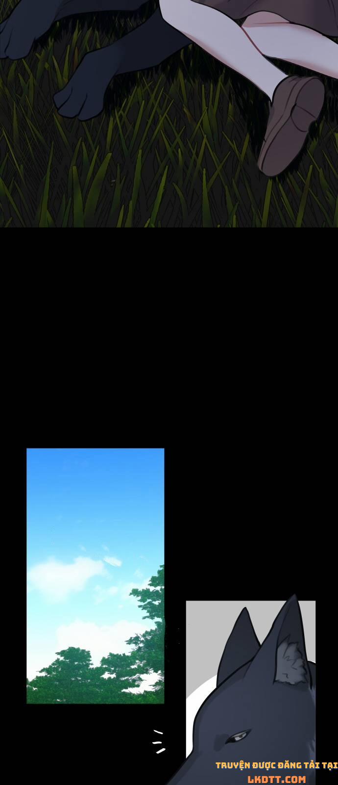 Nhật Ký Tuần Trăng Mật Của Phù Thủy Và Rồng 13 trang 41