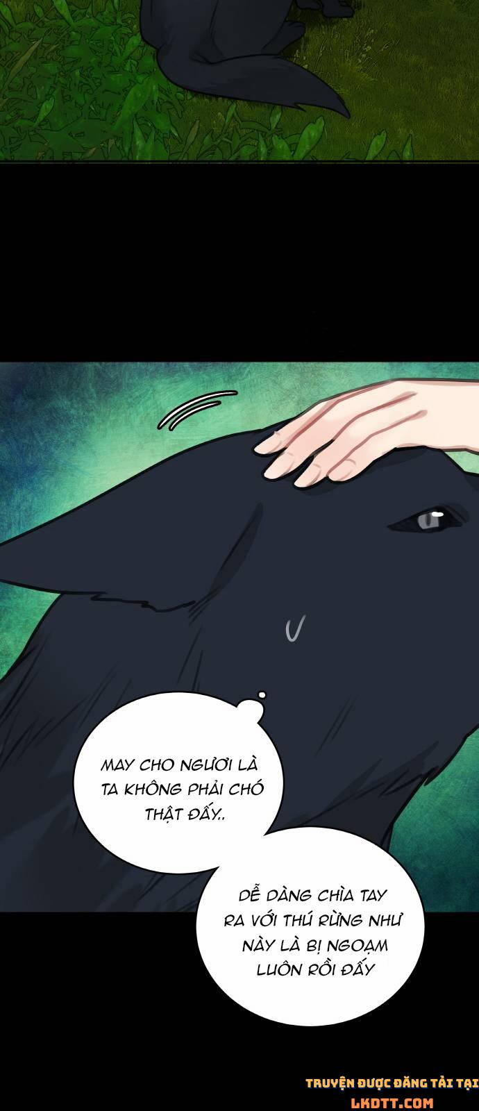 Nhật Ký Tuần Trăng Mật Của Phù Thủy Và Rồng 13 trang 9