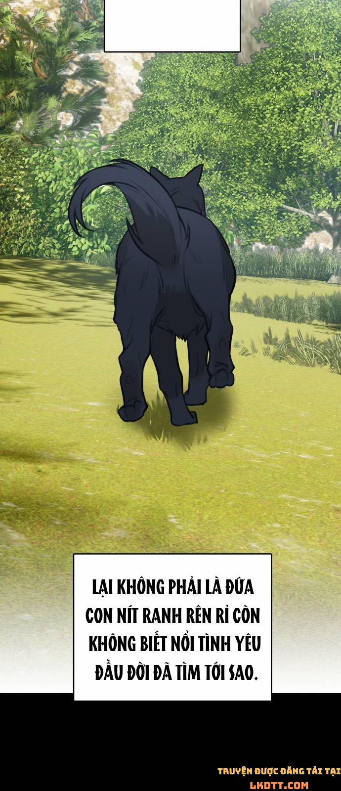 Nhật Ký Tuần Trăng Mật Của Phù Thủy Và Rồng 14 trang 13