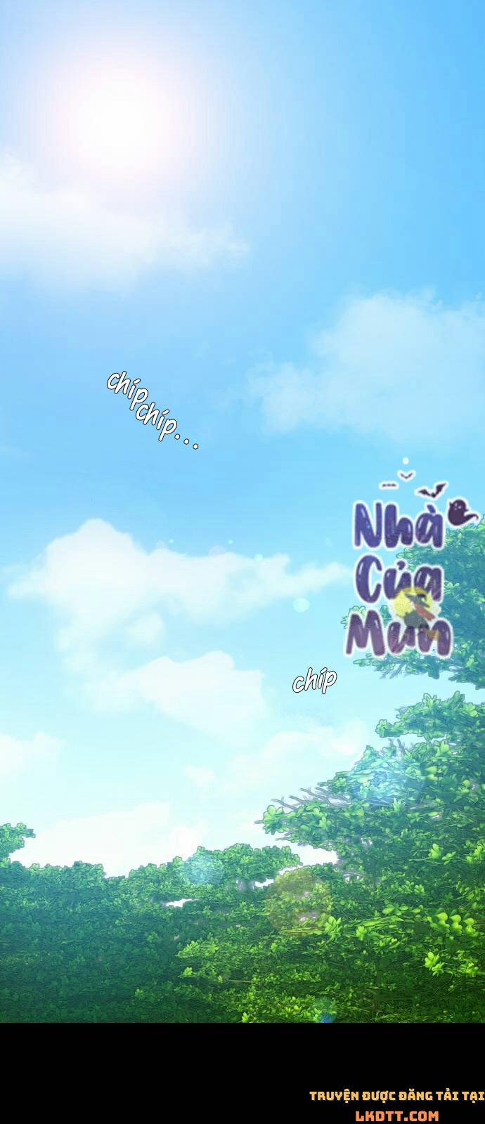 Nhật Ký Tuần Trăng Mật Của Phù Thủy Và Rồng 15 trang 0