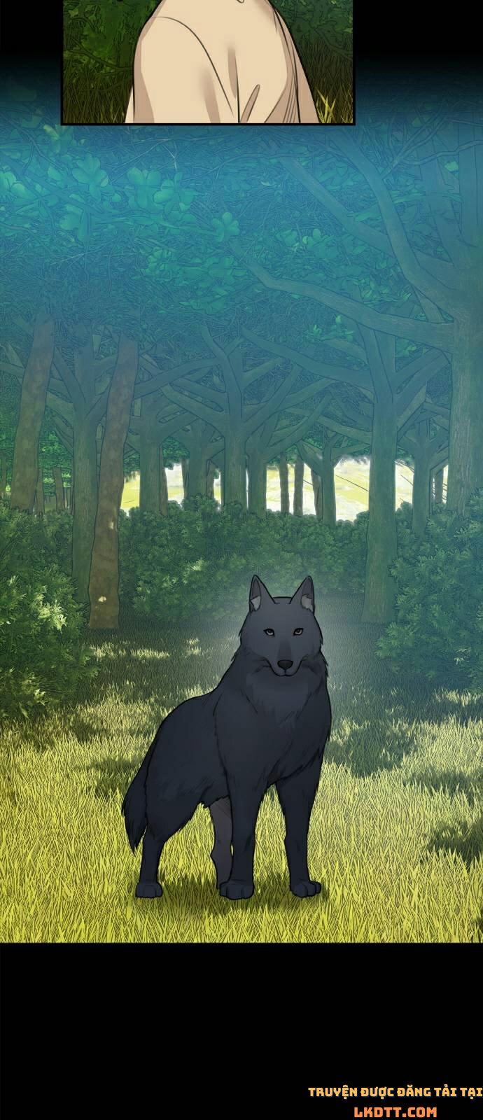 Nhật Ký Tuần Trăng Mật Của Phù Thủy Và Rồng 15 trang 2