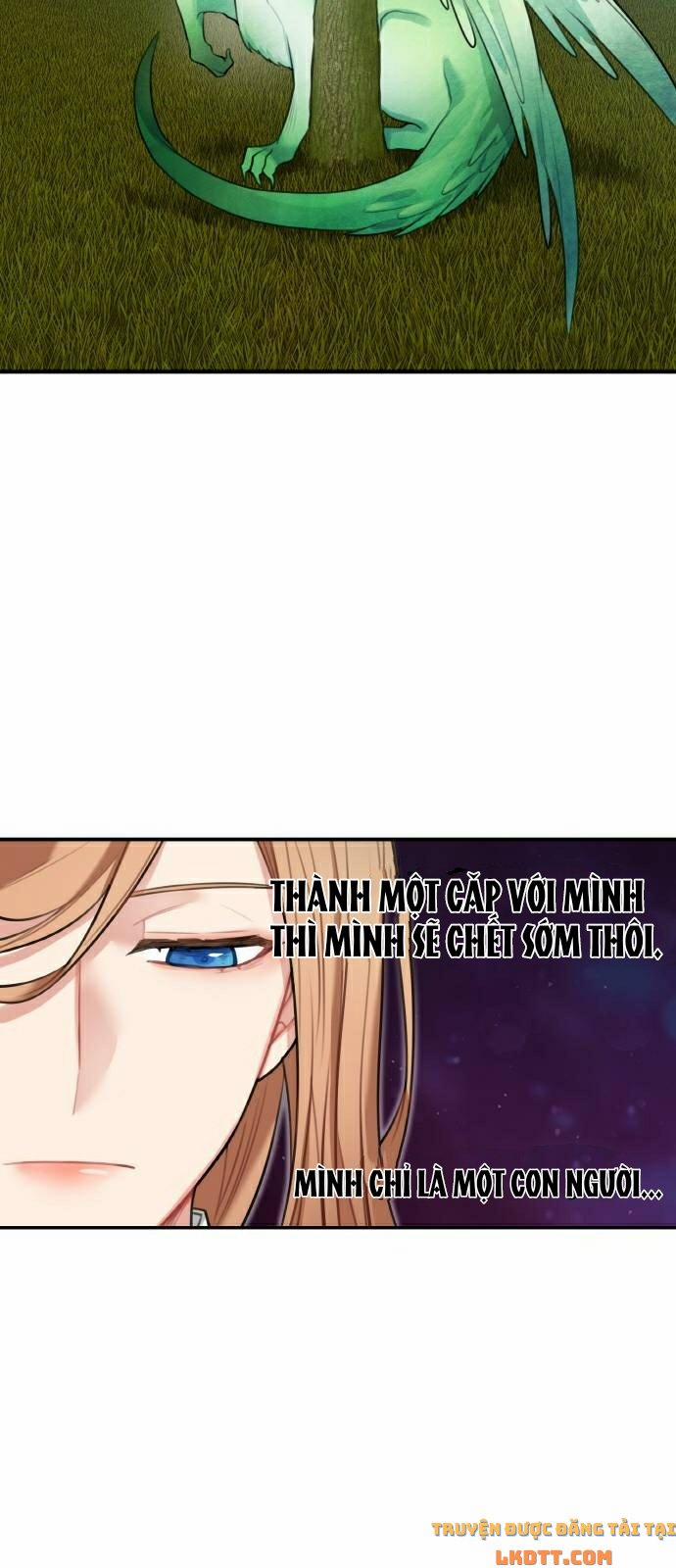 Nhật Ký Tuần Trăng Mật Của Phù Thủy Và Rồng 16 trang 56