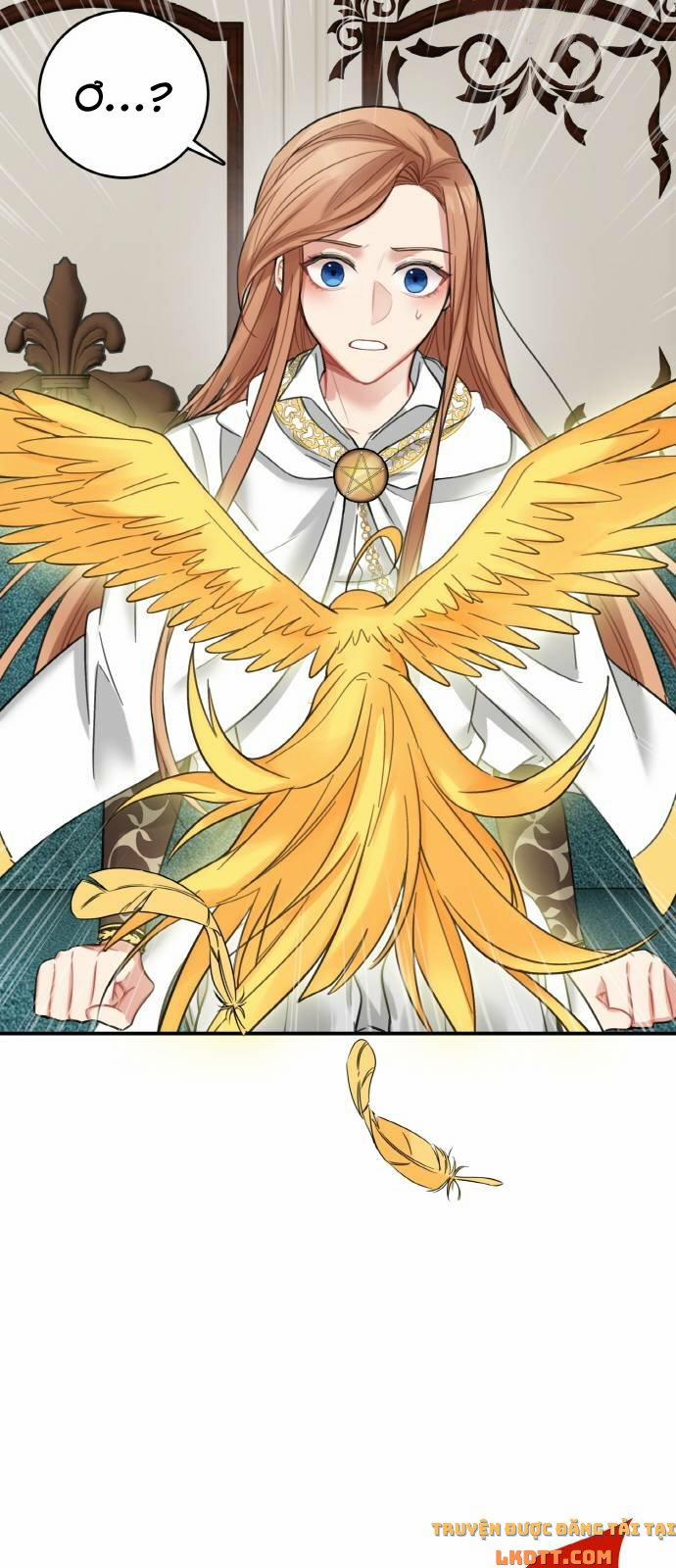 Nhật Ký Tuần Trăng Mật Của Phù Thủy Và Rồng 17 trang 48