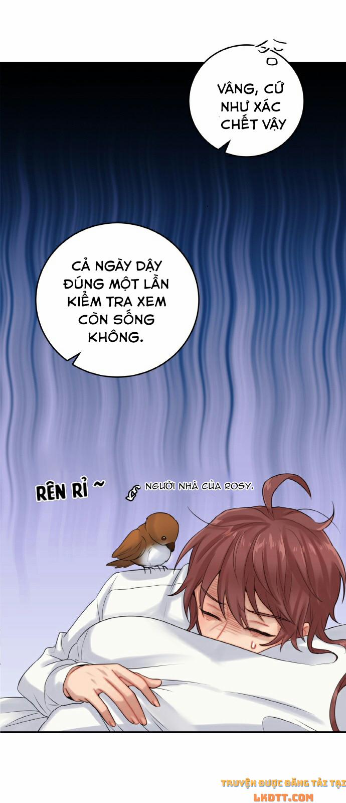 Nhật Ký Tuần Trăng Mật Của Phù Thủy Và Rồng 22 trang 16