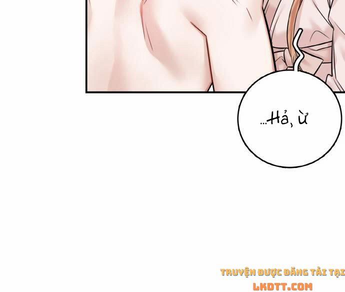 Nhật Ký Tuần Trăng Mật Của Phù Thủy Và Rồng 41 trang 48