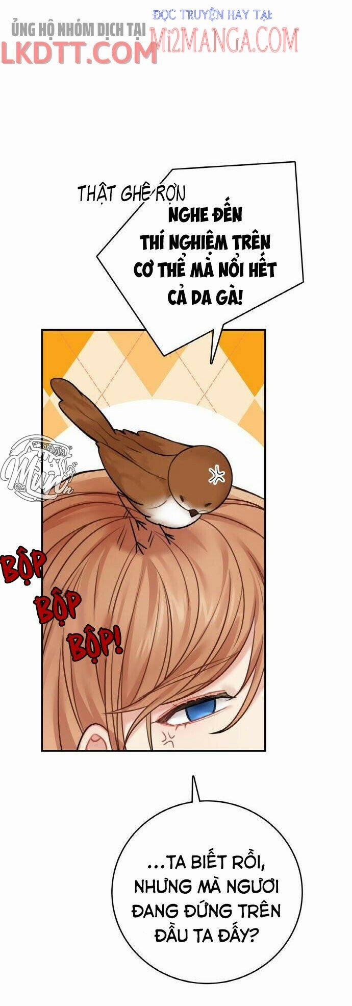 Nhật Ký Tuần Trăng Mật Của Phù Thủy Và Rồng 48 trang 11