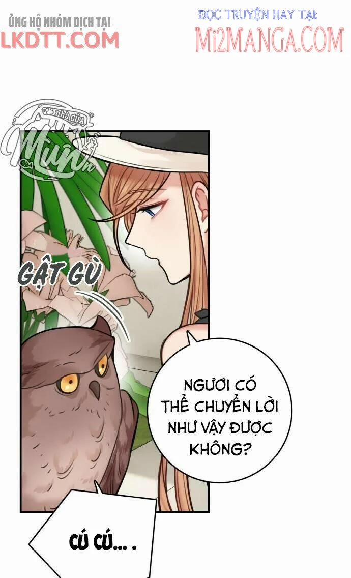 Nhật Ký Tuần Trăng Mật Của Phù Thủy Và Rồng 49.5 trang 25