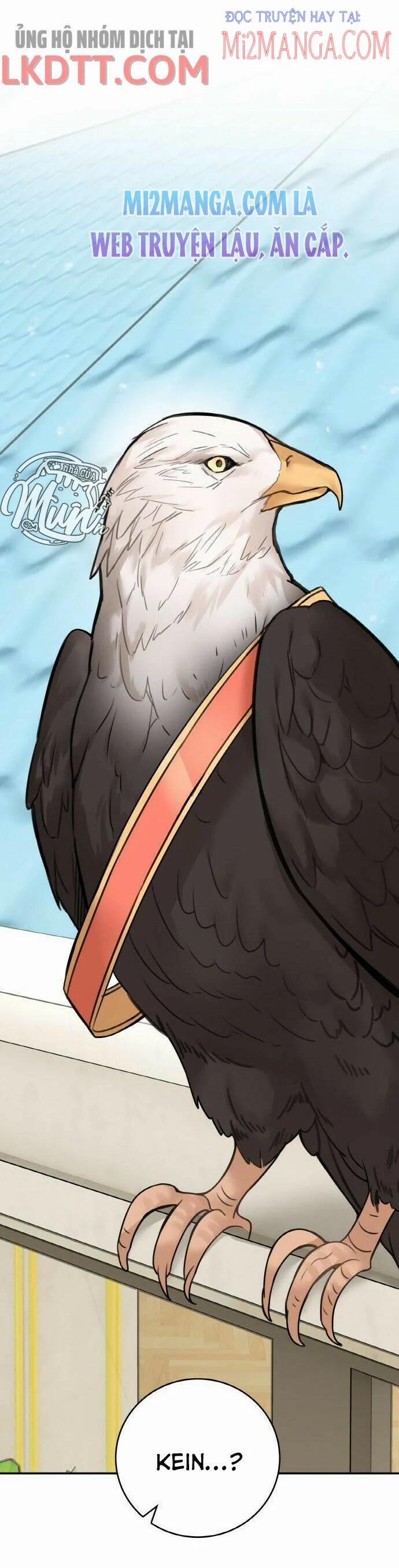 Nhật Ký Tuần Trăng Mật Của Phù Thủy Và Rồng 49.5 trang 29