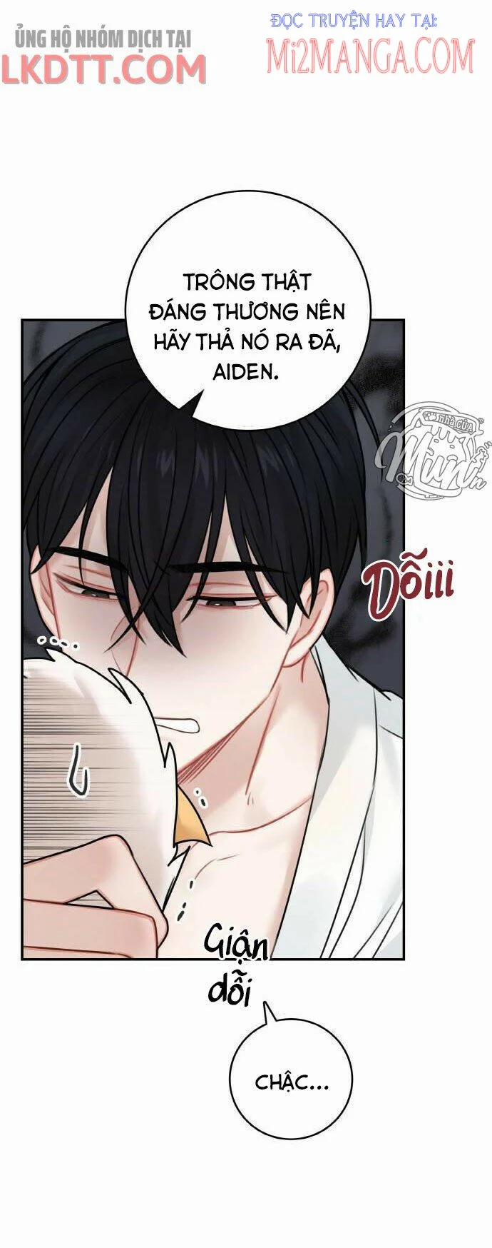 Nhật Ký Tuần Trăng Mật Của Phù Thủy Và Rồng 51 trang 5