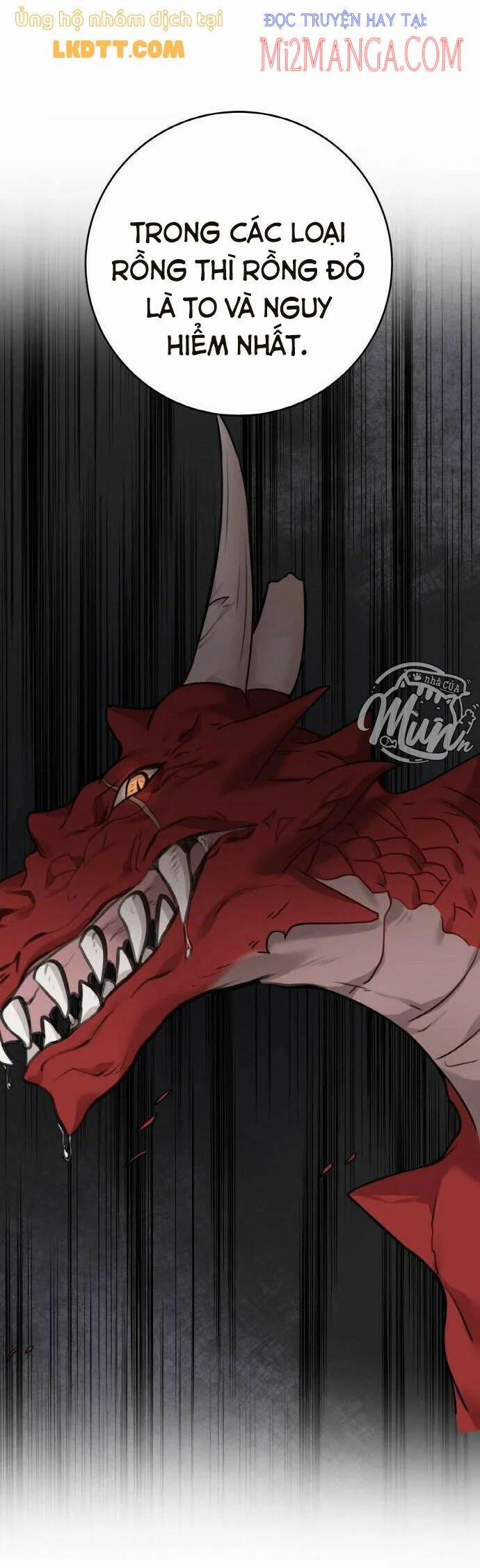 Nhật Ký Tuần Trăng Mật Của Phù Thủy Và Rồng 52.5 trang 2