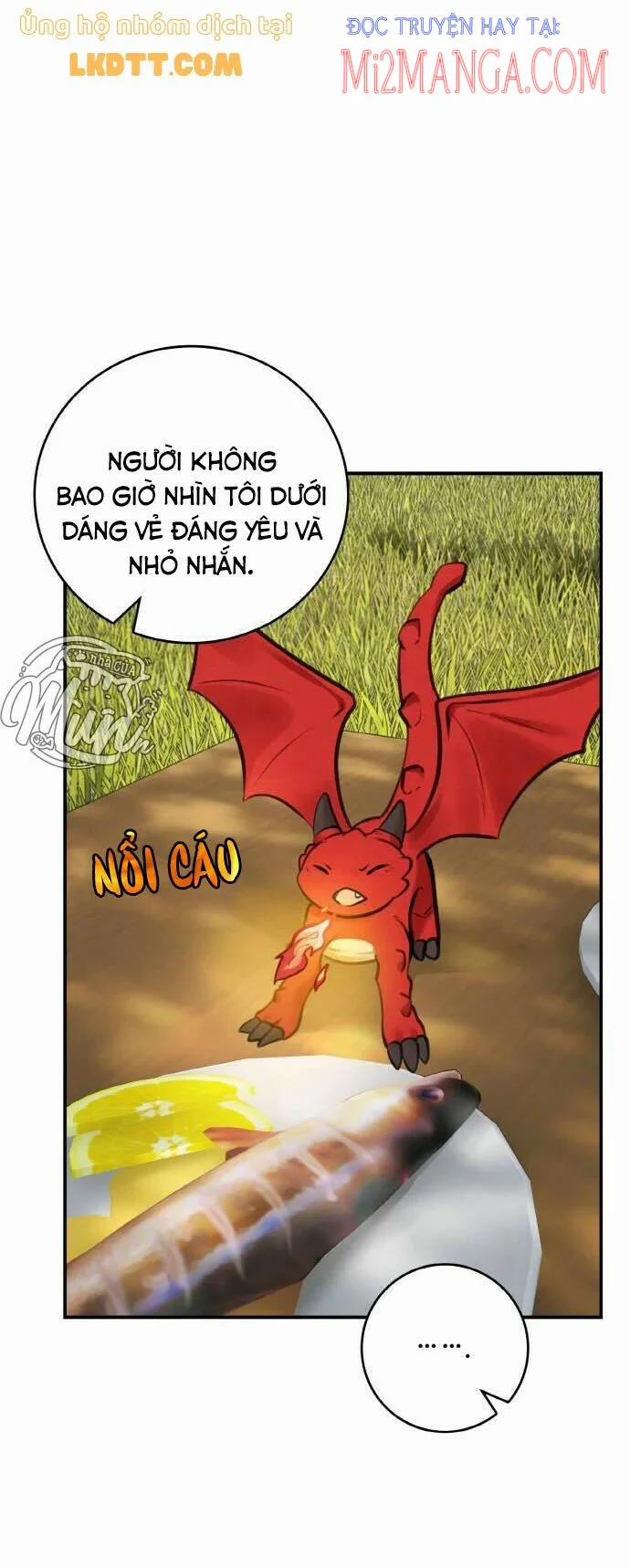 Nhật Ký Tuần Trăng Mật Của Phù Thủy Và Rồng 52 trang 31