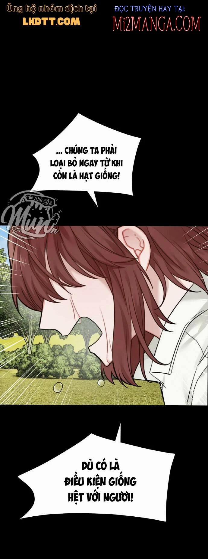 Nhật Ký Tuần Trăng Mật Của Phù Thủy Và Rồng 53 trang 25