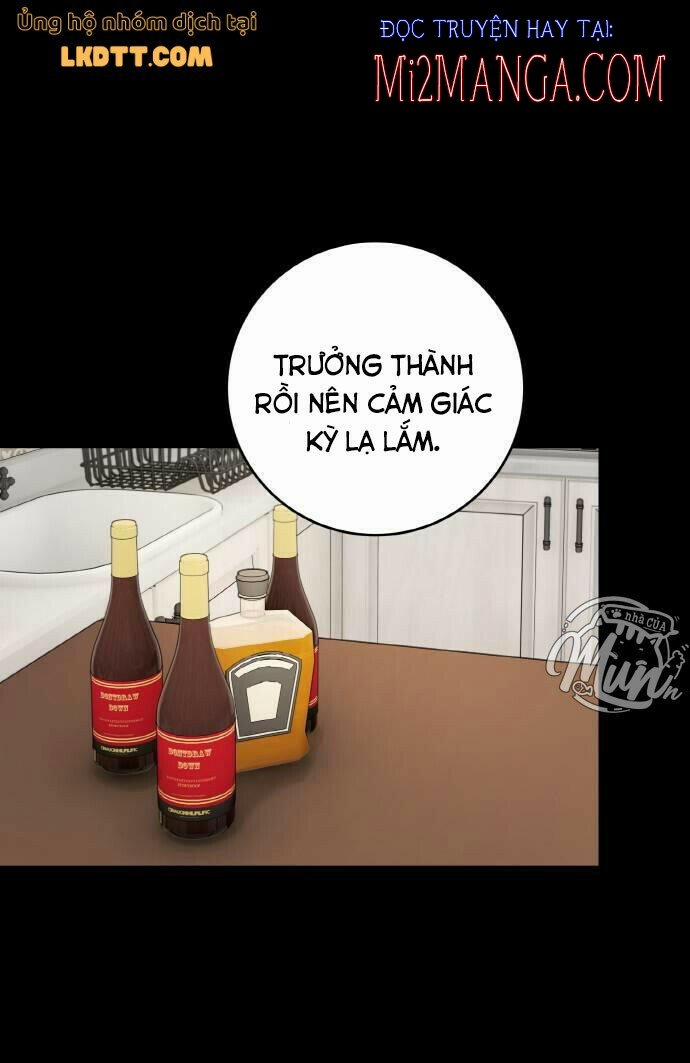 Nhật Ký Tuần Trăng Mật Của Phù Thủy Và Rồng 54 trang 23