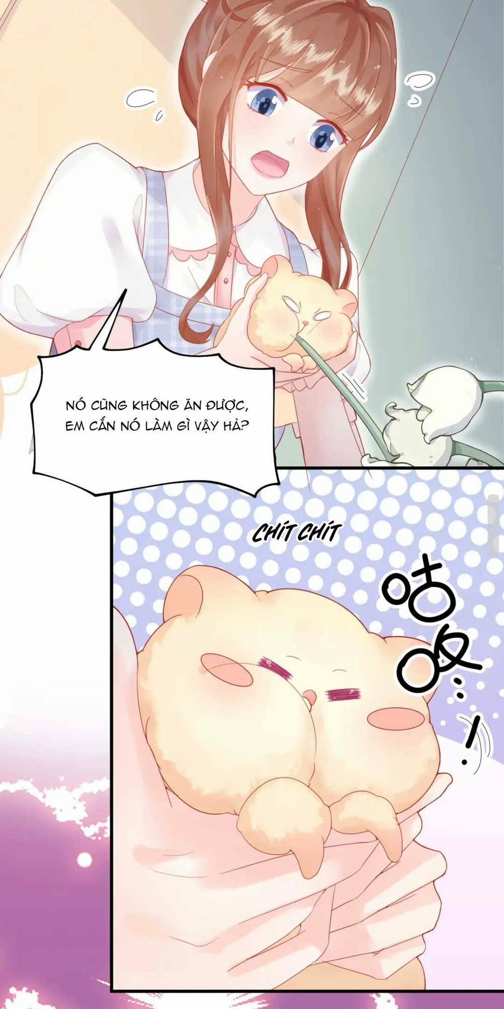 Nhặt Nuôi Hoàng Tử Chuột 1 trang 15