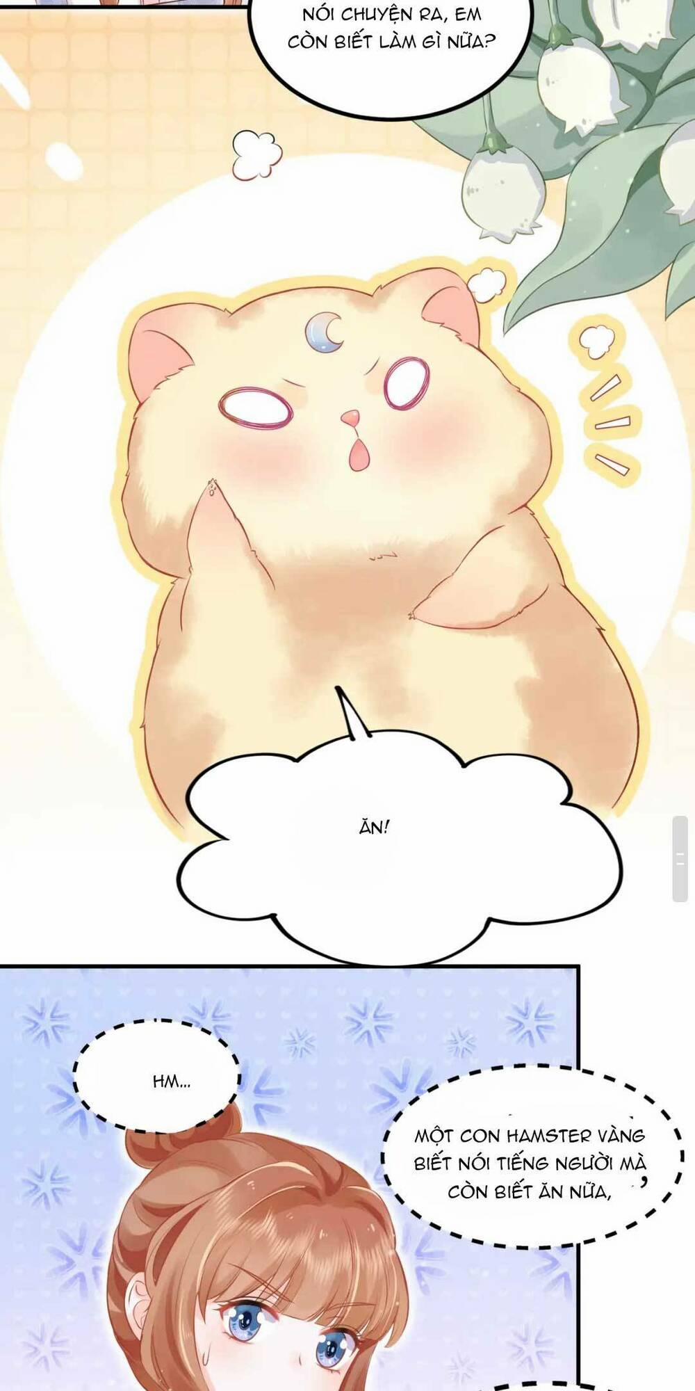 Nhặt Nuôi Hoàng Tử Chuột 1 trang 27