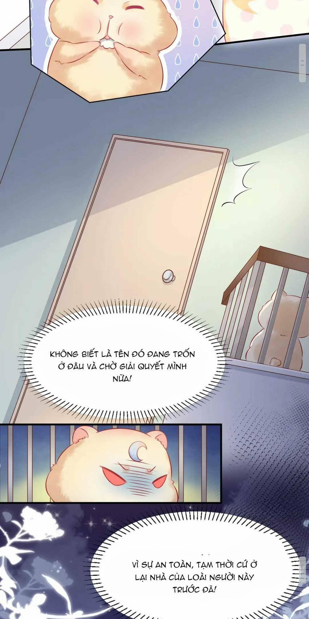 Nhặt Nuôi Hoàng Tử Chuột 1 trang 30