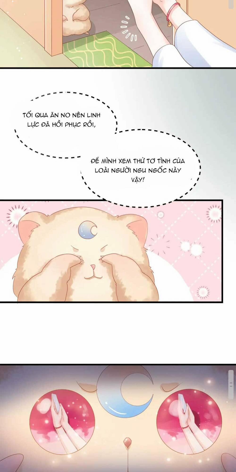 Nhặt Nuôi Hoàng Tử Chuột 3 trang 17