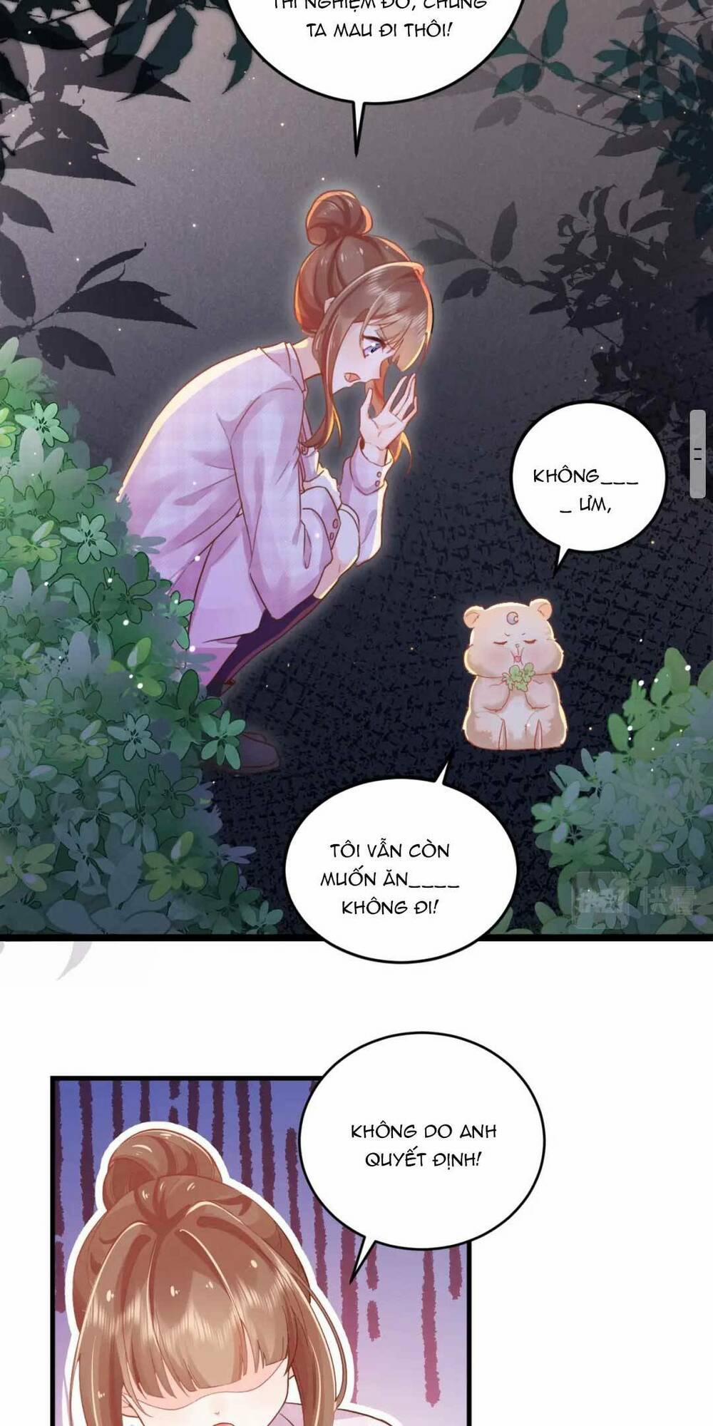 Nhặt Nuôi Hoàng Tử Chuột 3 trang 6