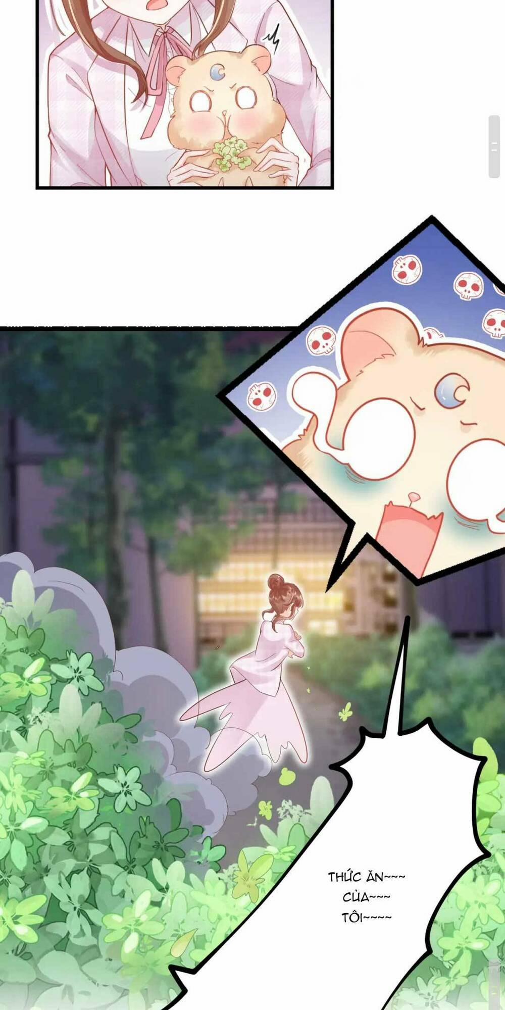 Nhặt Nuôi Hoàng Tử Chuột 3 trang 7