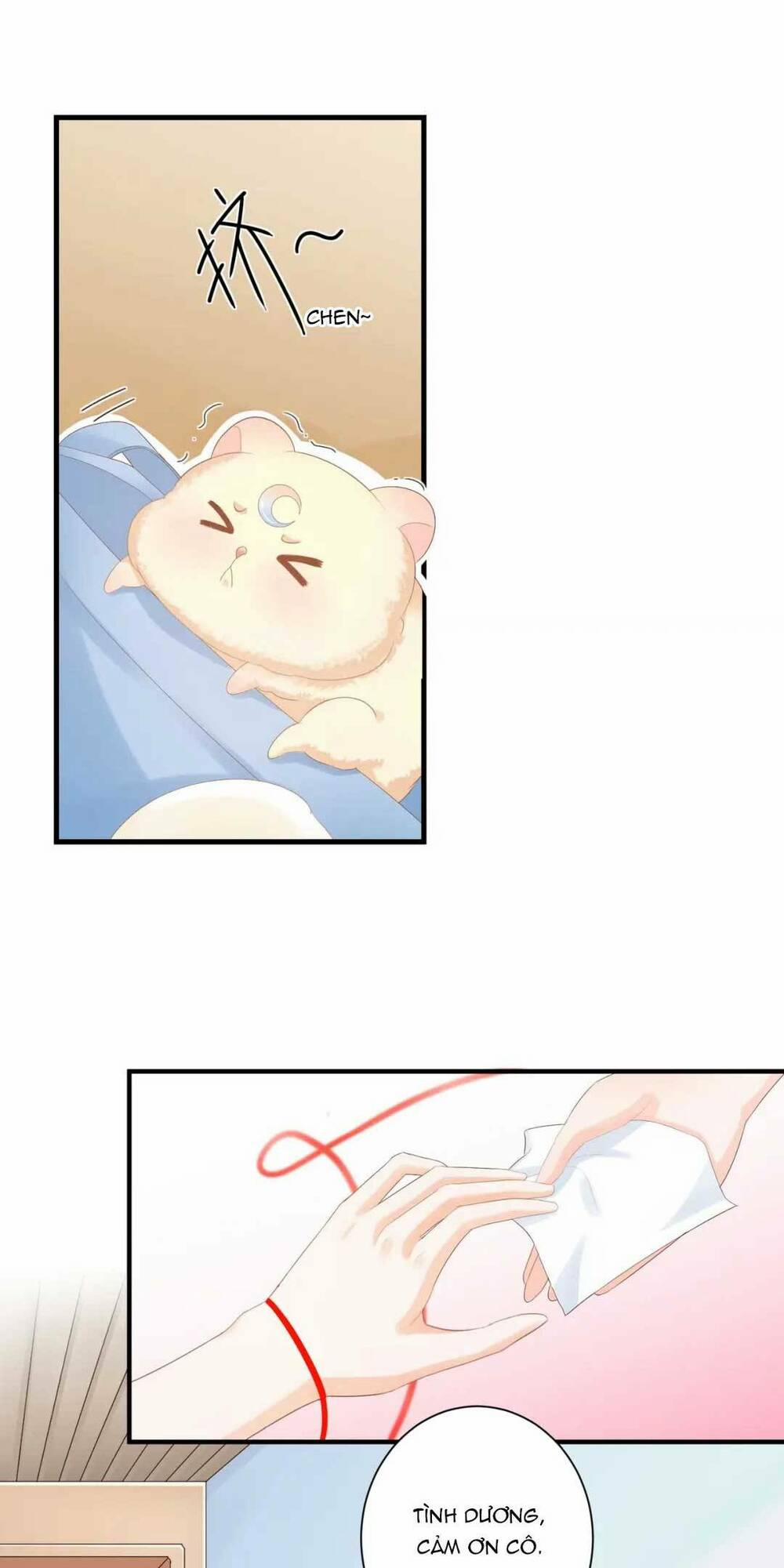 Nhặt Nuôi Hoàng Tử Chuột 4 trang 12