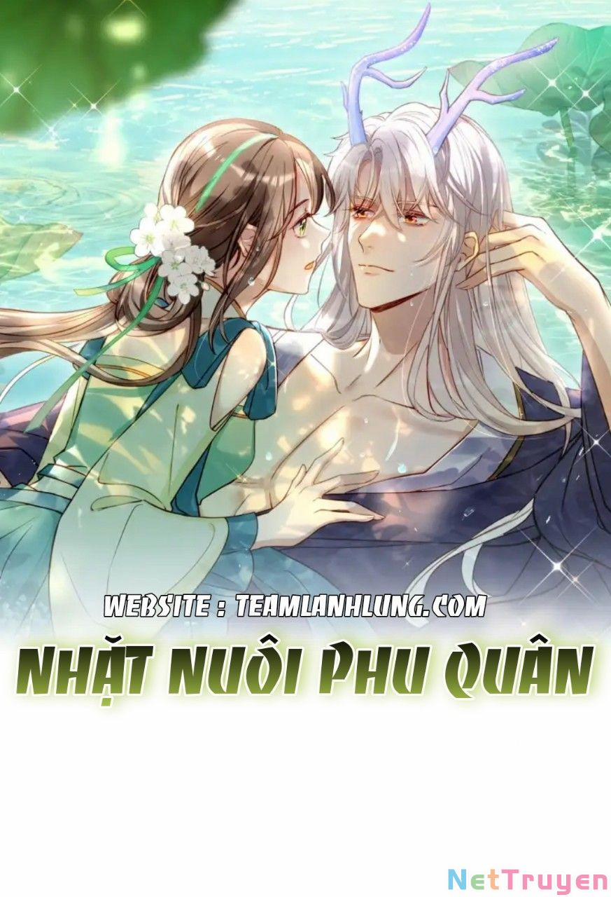 Nhặt Nuôi Phu Quân 1 trang 0
