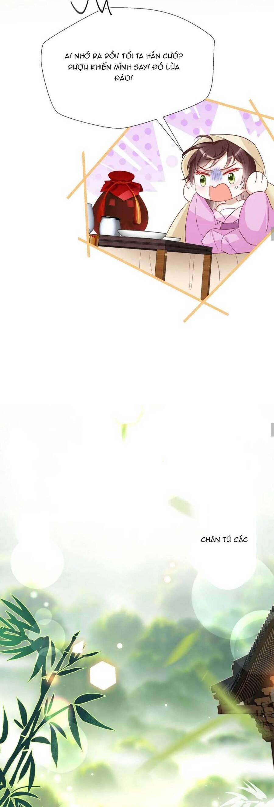 Nhặt Nuôi Phu Quân 17 trang 13