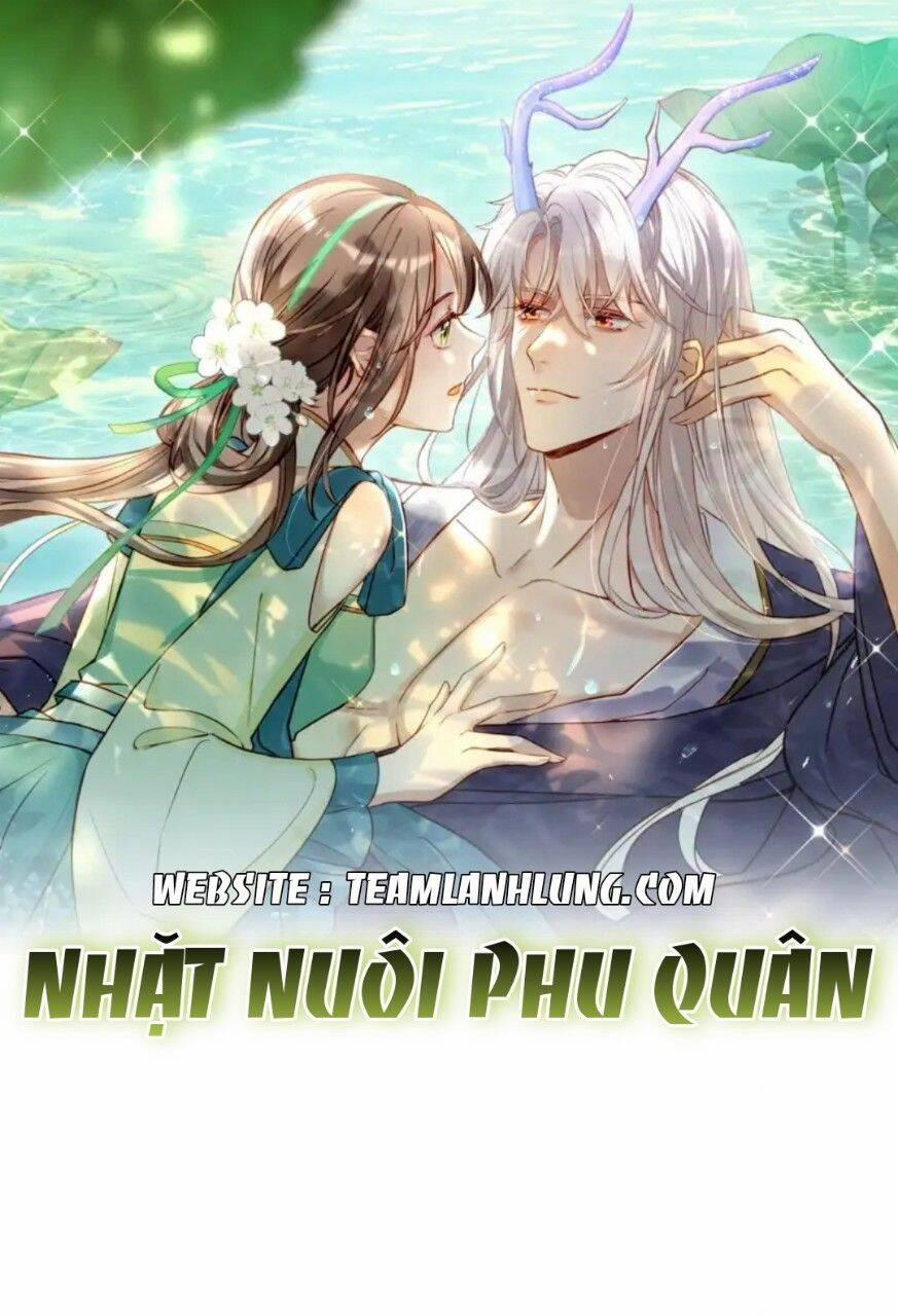 Nhặt Nuôi Phu Quân 5 trang 0