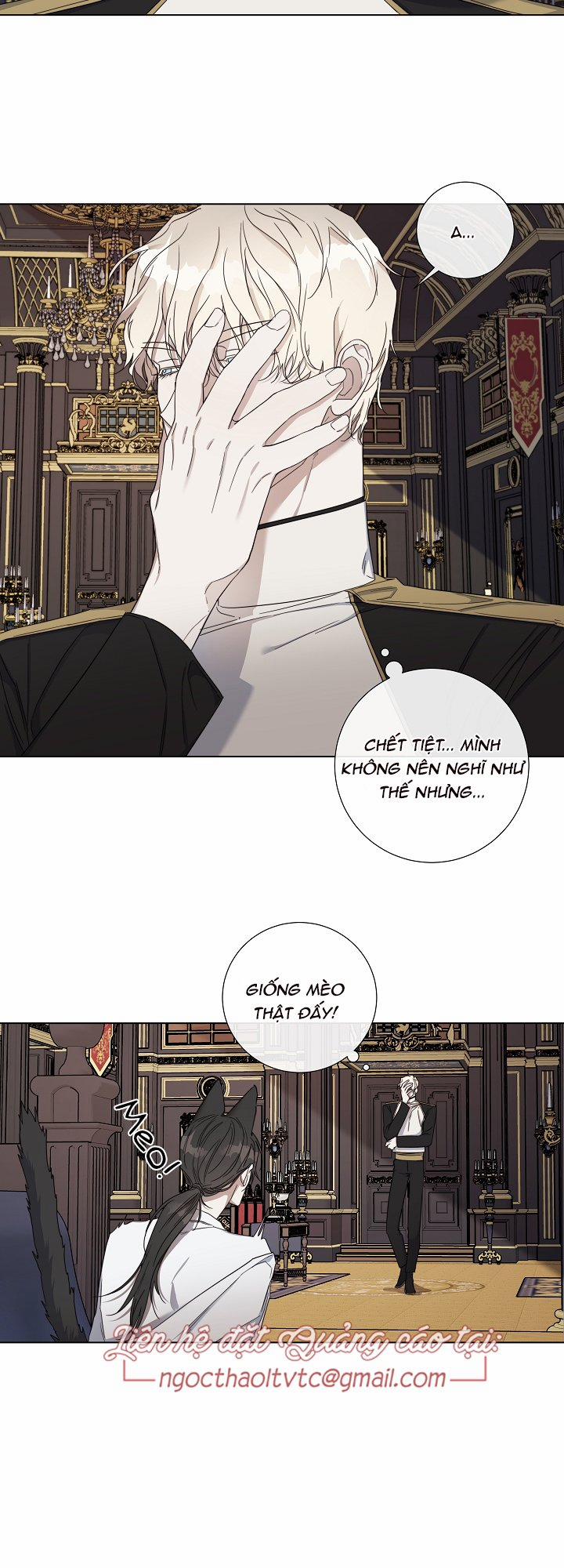 Nhật Thực 41 trang 13