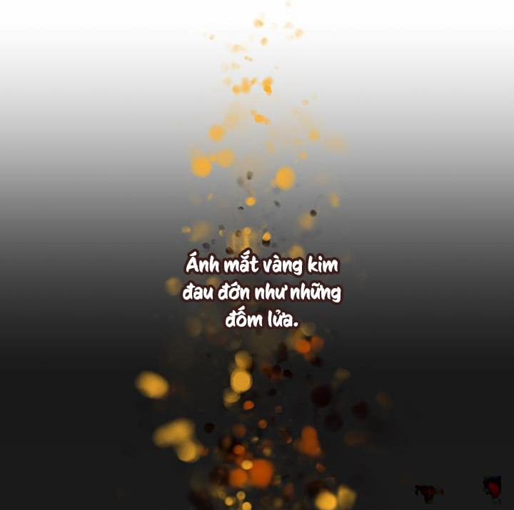 Nhật Thực 50 trang 31