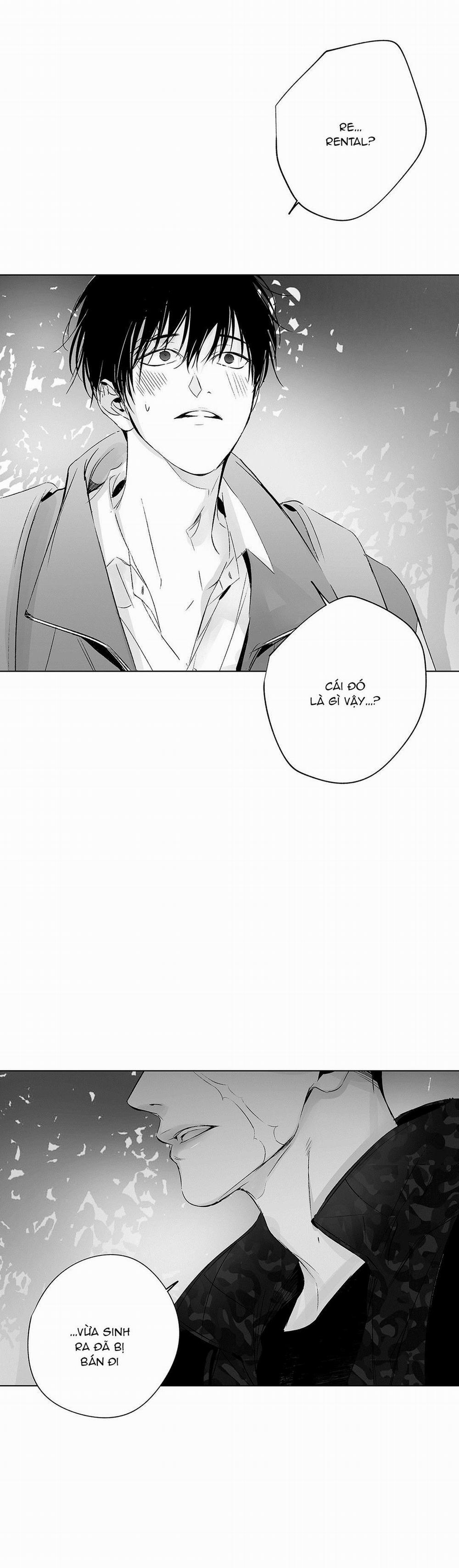 Nhiễu Sóng 15 trang 6