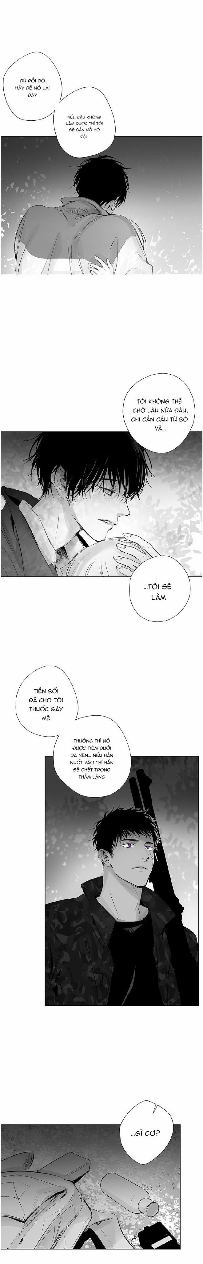 Nhiễu Sóng 18 trang 8