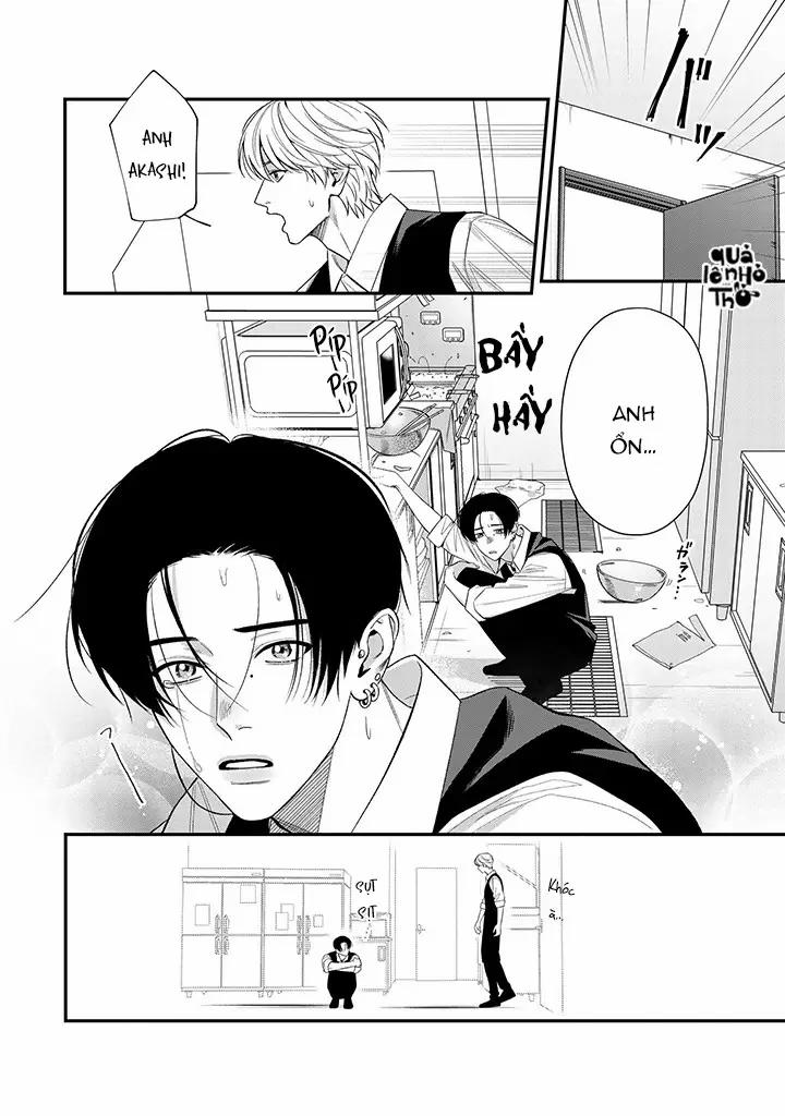 Nhím Và Tính Cách Trái Ngược 3 trang 11