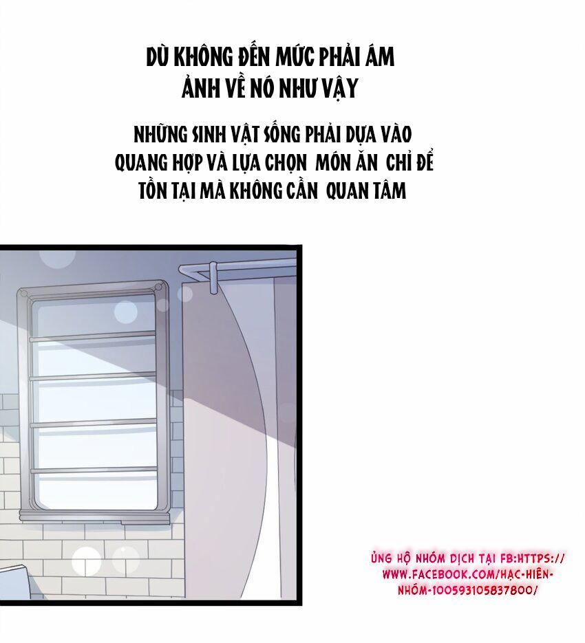 Nhìn thấy tia sáng một lần nữa 1 trang 10