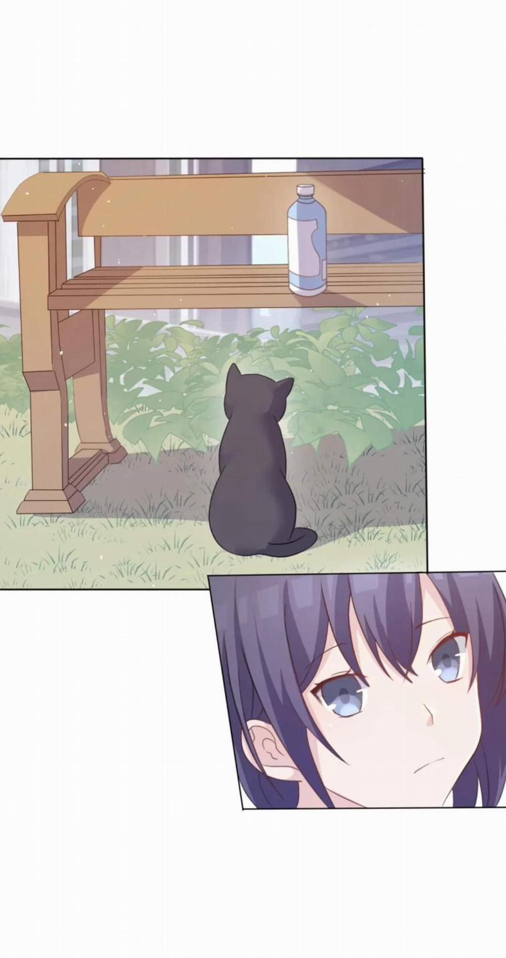 Nhìn thấy tia sáng một lần nữa 4 trang 20