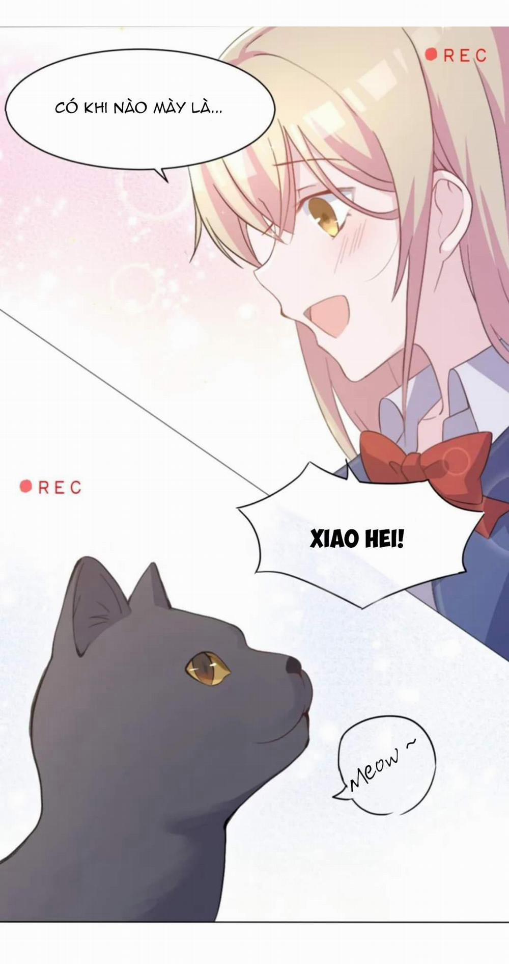 Nhìn thấy tia sáng một lần nữa 4 trang 22