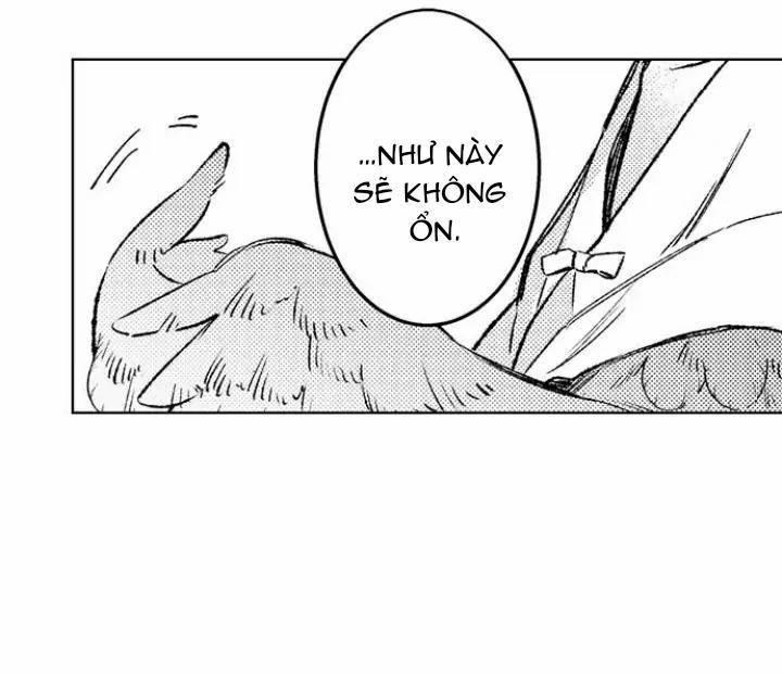 Nhìn vào đóa hoa của bình minh 1 trang 10