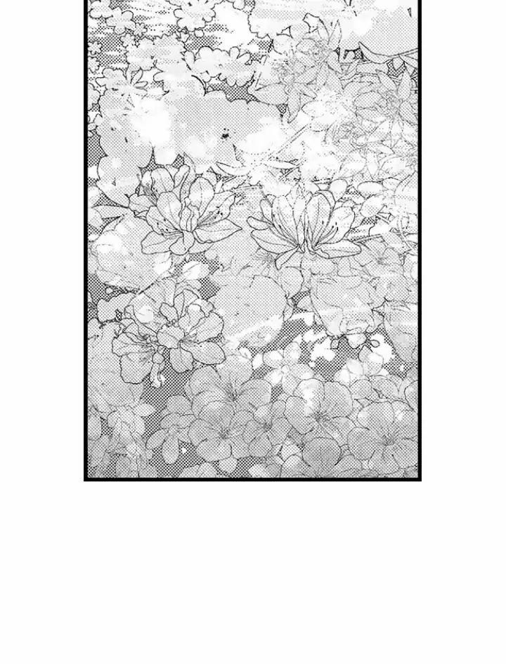 Nhìn vào đóa hoa của bình minh 2 trang 16