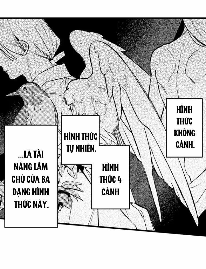 Nhìn vào đóa hoa của bình minh 2 trang 24