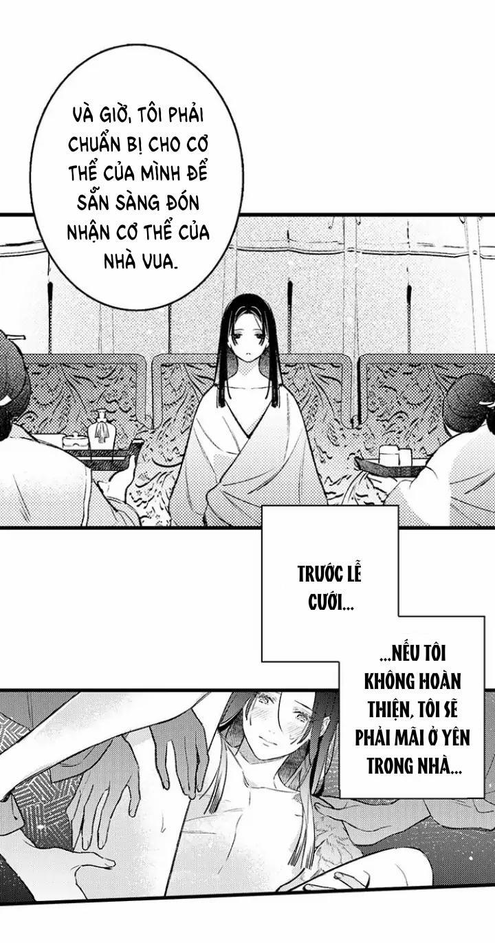 Nhìn vào đóa hoa của bình minh 2 trang 29