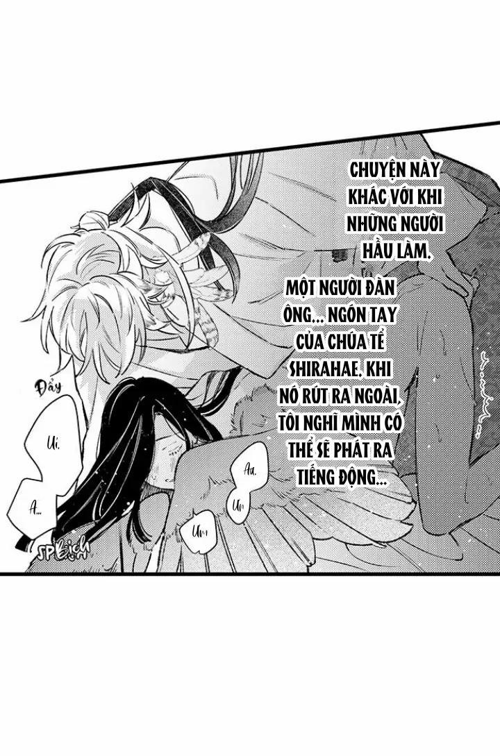 Nhìn vào đóa hoa của bình minh 3 trang 16