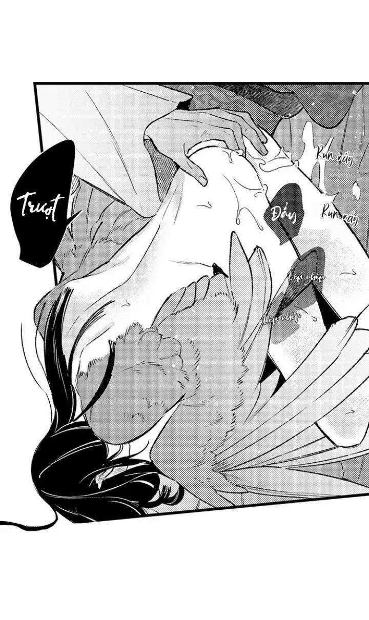 Nhìn vào đóa hoa của bình minh 3 trang 19