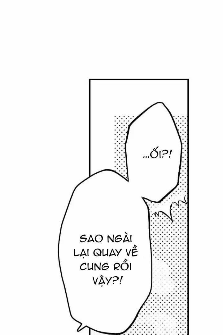 Nhìn vào đóa hoa của bình minh 4 trang 6