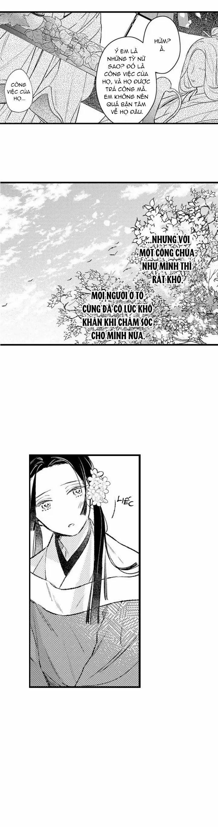 Nhìn vào đóa hoa của bình minh 6 trang 1