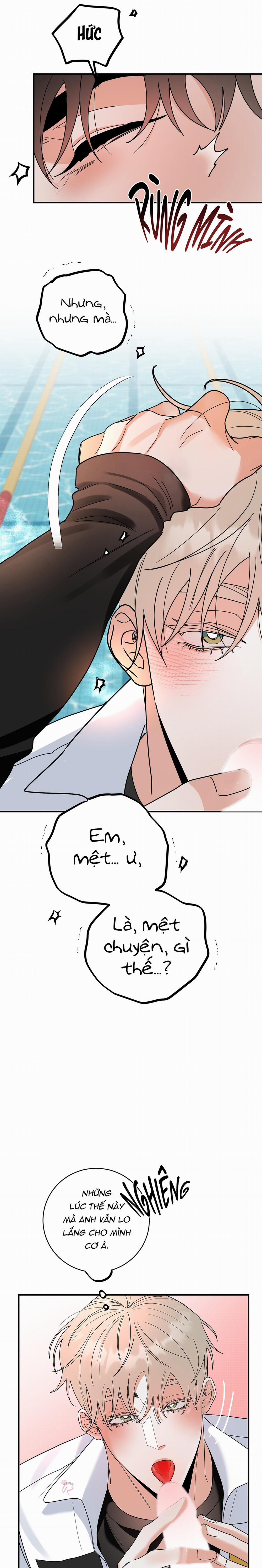 Nhìn Về Phía Em – Turn Over 16 trang 7